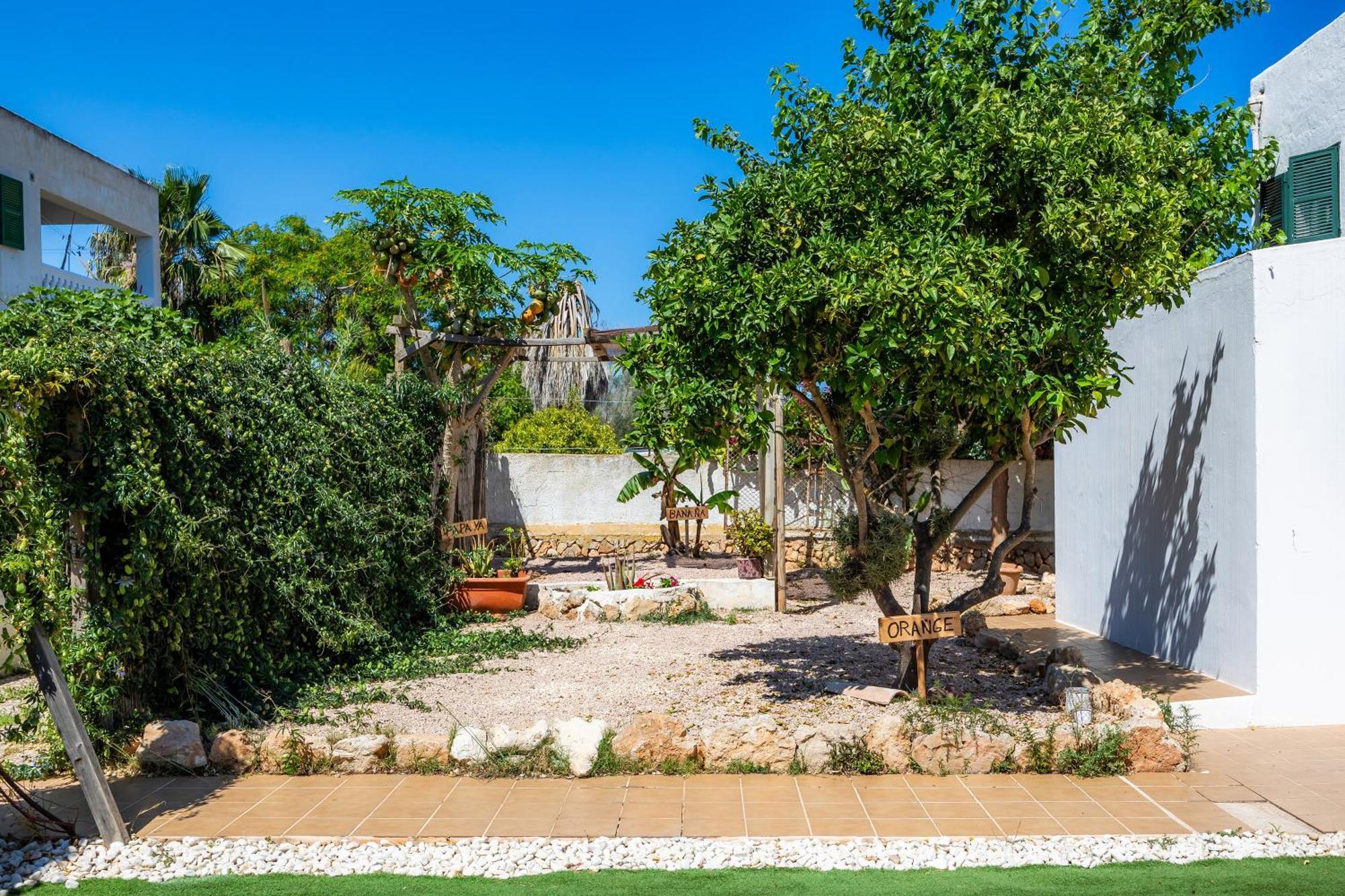Finca Blanca Calas de Mallorca Exterior foto